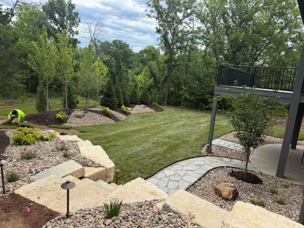 Turf Renovation Services