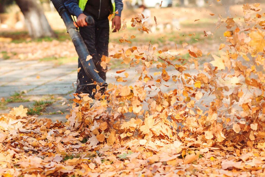 Leaf Blowing