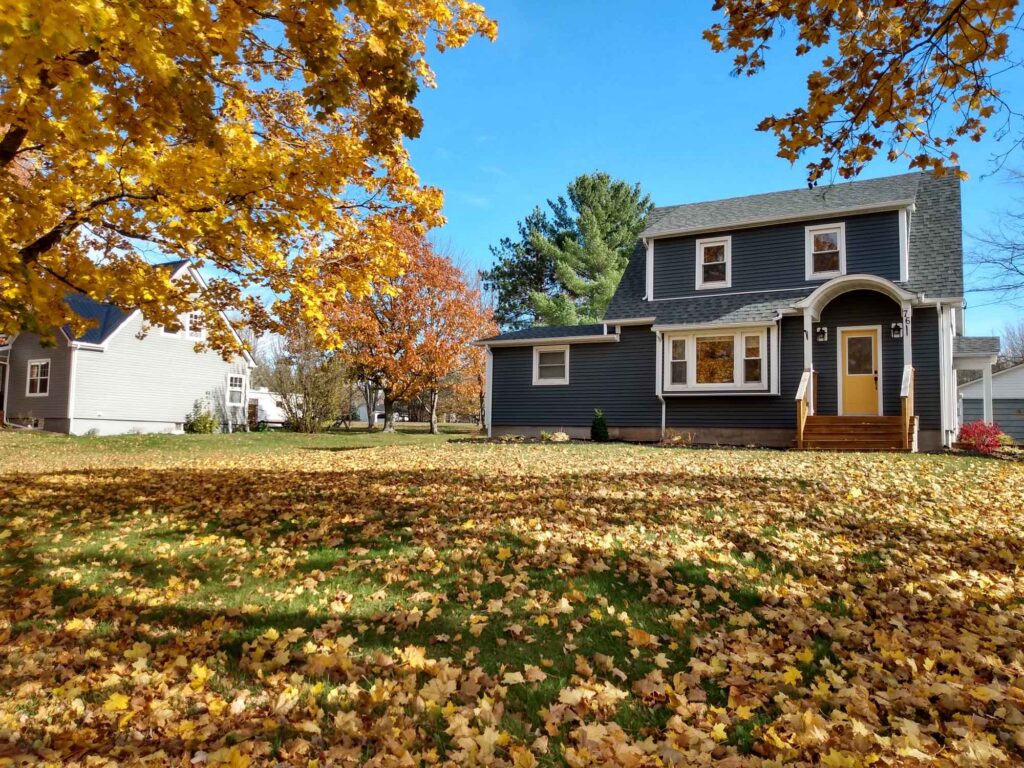 Leaf Removal