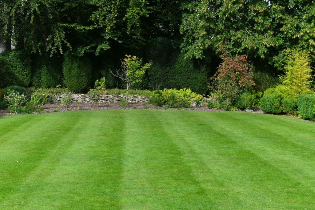 Lawn Mowing & Maintenance